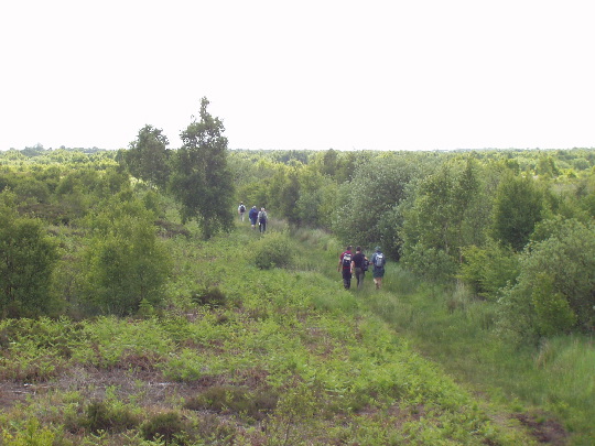 Thorne Moors: Thorne Moors